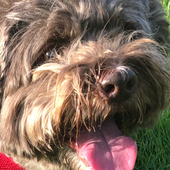 Meet your Posher, Mary - Picture 1 of 1